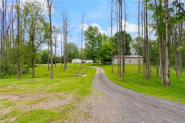 7698 Ridge Rd, Sodus, NY 14551 - view of dirt / gravel road