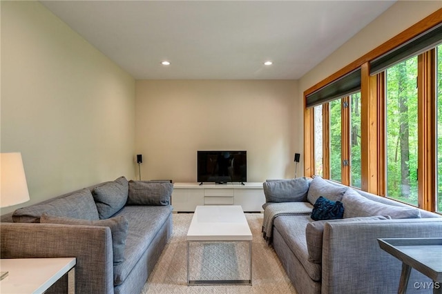3502 Lightfoot Ln, Lysander, NY 13027 - living room with recessed lighting and carpet floors