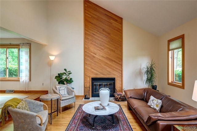 3502 Lightfoot Ln, Lysander, NY 13027 - living area featuring high vaulted ceiling, plenty of natural light, light wood-type flooring, a fireplace, and baseboards