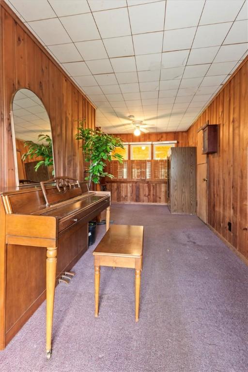 4411 Williamson Rd, Marion, NY 14505 - recreation room with wood walls, carpet flooring, and ceiling fan