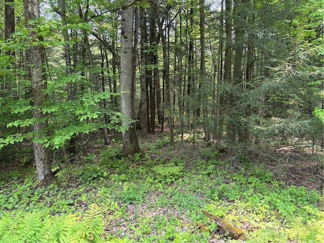 Spring Rd S, Ossian, NY 14437