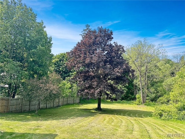 4 Park Rd W, Castile, NY 14427 - view of yard