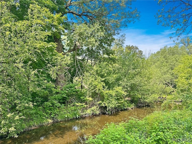 4 Park Rd W, Castile, NY 14427 - view of wooded area