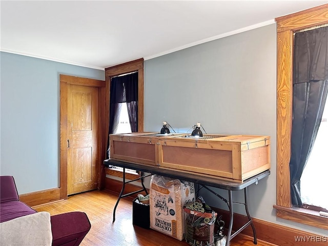 4 Park Rd W, Castile, NY 14427 - sitting room with wood finished floors, ornamental molding, and baseboards