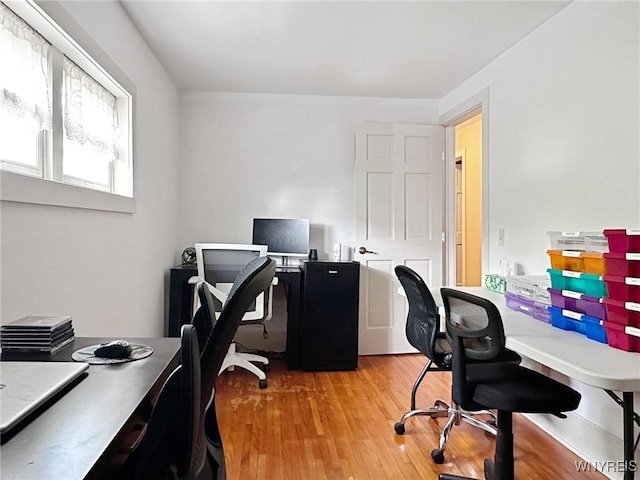 4 Park Rd W, Castile, NY 14427 - office area featuring light wood-style floors