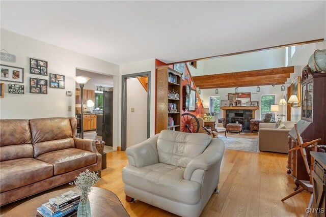1388 Sky High Rd, Fabius, NY 13159 - living area with healthy amount of natural light, light wood-style flooring, and a fireplace