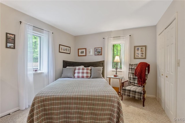 1388 Sky High Rd, Fabius, NY 13159 - bedroom featuring carpet flooring, a closet, and baseboards
