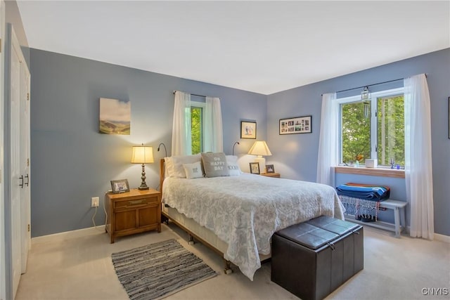 1388 Sky High Rd, Fabius, NY 13159 - bedroom featuring light carpet, multiple windows, and baseboards