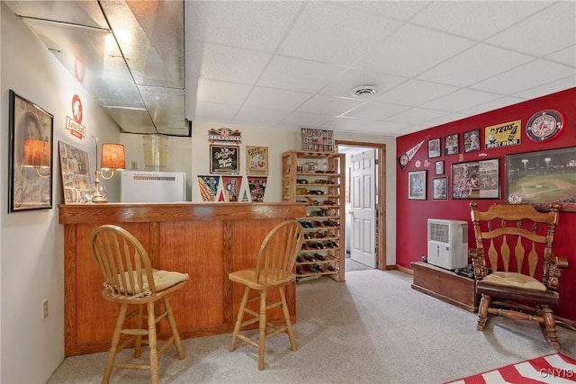 1388 Sky High Rd, Fabius, NY 13159 - indoor dry bar featuring carpet flooring, a paneled ceiling, and baseboards