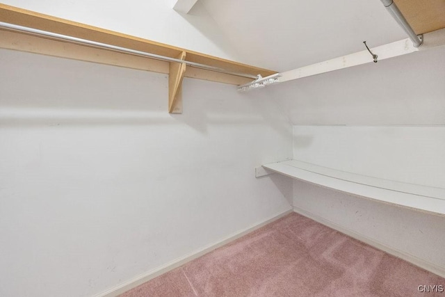7739 Number 5 W Rd, Pompey, NY 13063 - walk in closet with carpet flooring