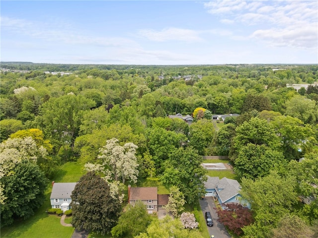 71 Brook Rd, Pittsford, NY 14534 - photo 45