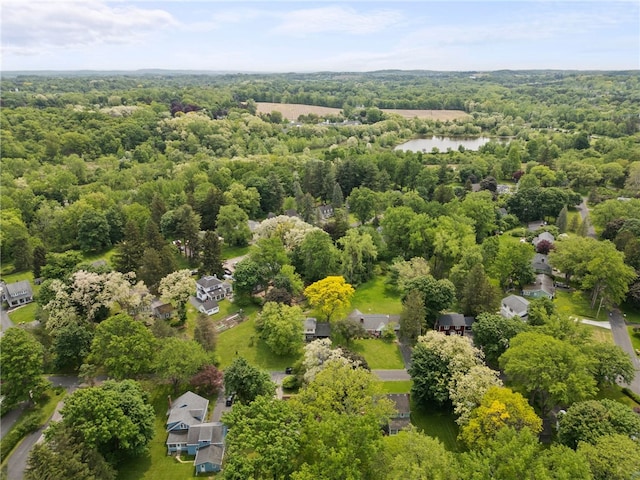 71 Brook Rd, Pittsford, NY 14534 - photo 48