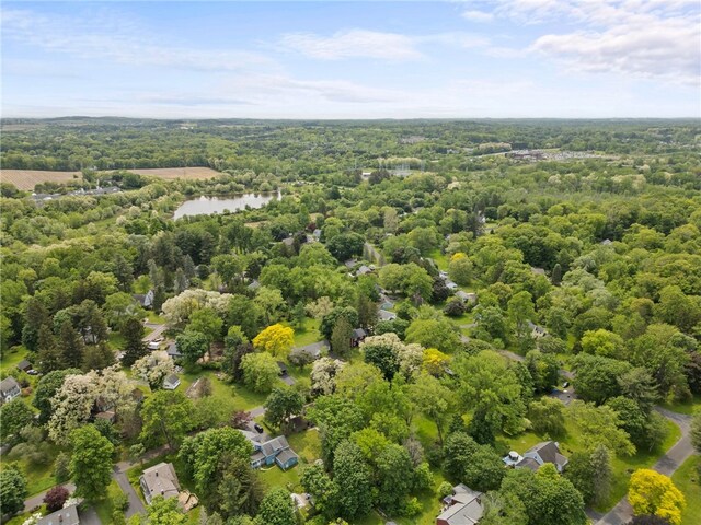 71 Brook Rd, Pittsford, NY 14534 - photo 49