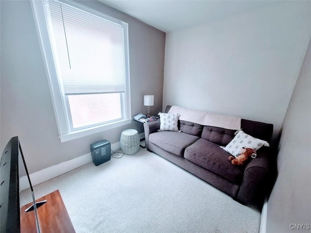 7 Genesee Ct, Utica, NY 13502 - living area featuring carpet and baseboards