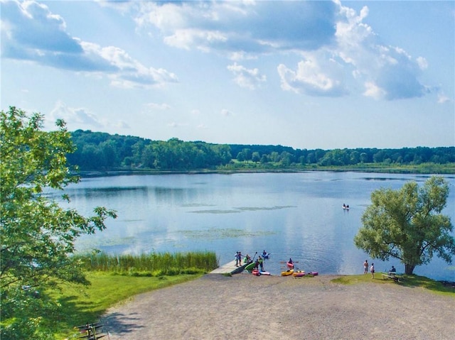 6 Barben Cir, Mendon, NY 14506 - water view featuring a forest