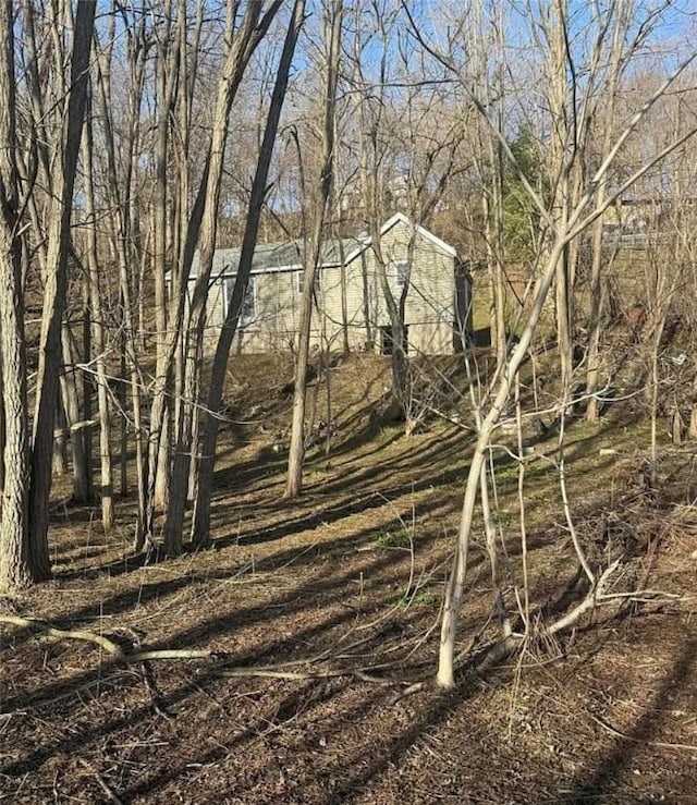 123 Piper Rd, Herkimer, NY 13350 - view of local wilderness