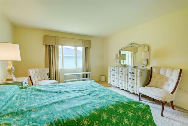 41 Leicestershire Rd, Irondequoit, NY 14621 - view of carpeted bedroom