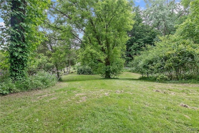 3643 Armstrong Rd, Camillus, NY 13209 - view of green lawn
