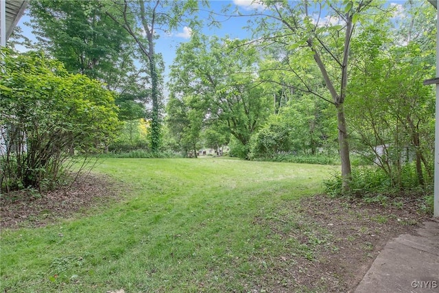 3643 Armstrong Rd, Camillus, NY 13209 - view of green lawn