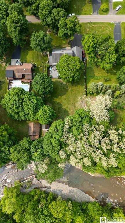 10348 Chestnut Rd, Pomfret, NY 14048 - photo 16