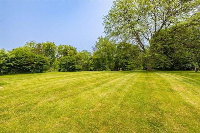 3908 Stalker Rd, Walworth, NY 14502 - view of green lawn