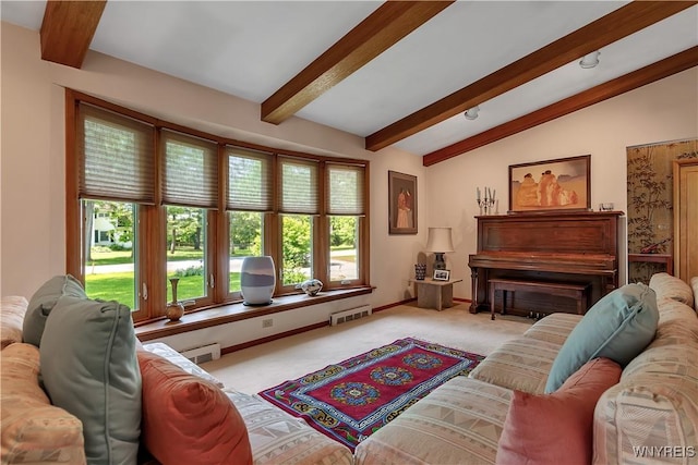 9325 Hunting Valley Rd N, Clarence, NY 14031 - living room with healthy amount of natural light and carpet flooring