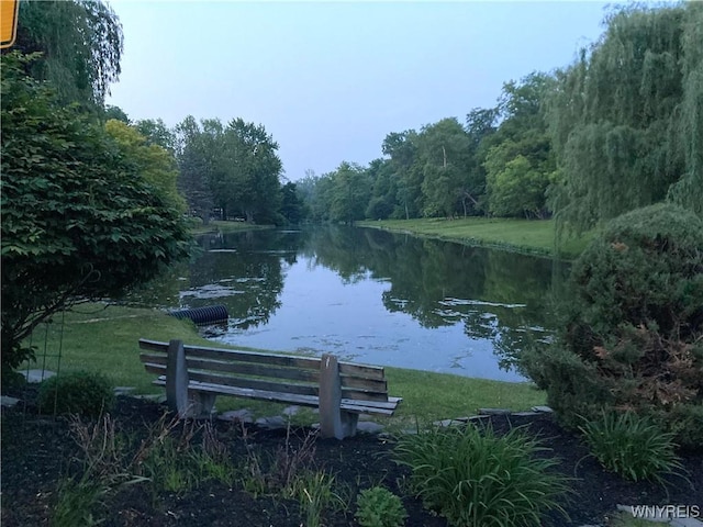 9325 Hunting Valley Rd N, Clarence, NY 14031 - water view with a forest