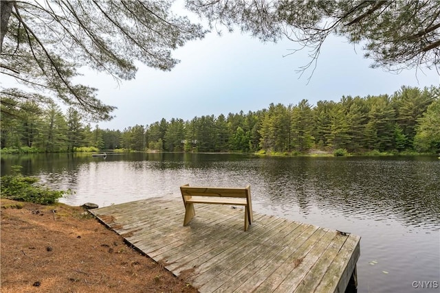 7037 Pleasant Point Rd, Diana, NY 13665 - photo 6