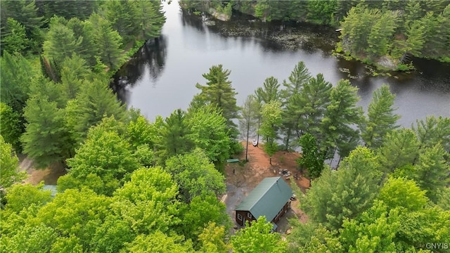 7037 Pleasant Point Rd, Diana, NY 13665 - photo 31