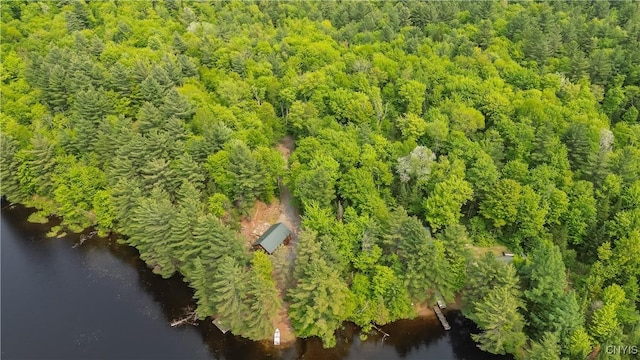 7037 Pleasant Point Rd, Diana, NY 13665 - photo 32