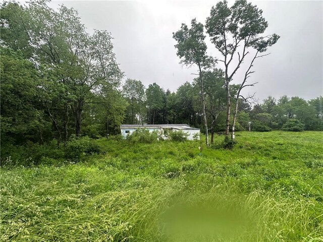 5909 Hess Rd, Amity, NY 14813 - photo 10