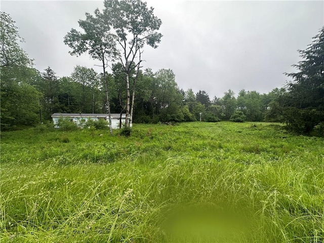 5909 Hess Rd, Amity, NY 14813 - photo 14