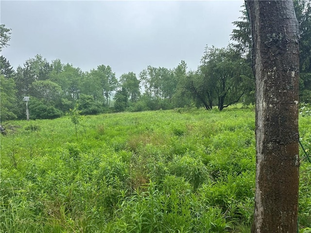 5909 Hess Rd, Amity, NY 14813 - photo 5