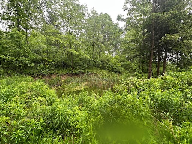 5909 Hess Rd, Amity, NY 14813 - photo 7