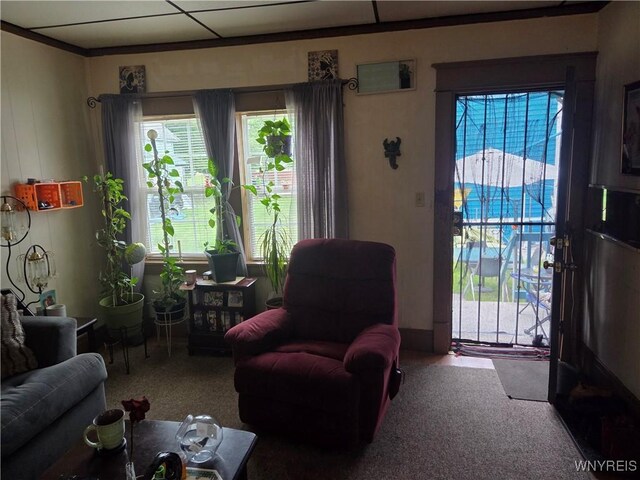 135 Strauss St, Buffalo, NY 14212 - photo 10