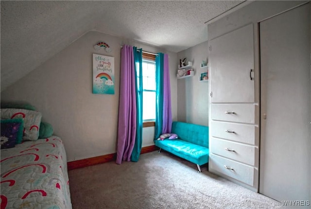 2019 Center St, North Collins, NY 14111 - bedroom with a textured ceiling, carpet flooring, vaulted ceiling, and baseboards