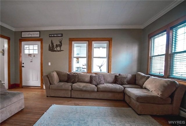 2019 Center St, North Collins, NY 14111 - living area featuring hardwood / wood-style floors and crown molding