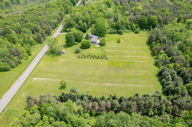 Lamson Rd, Lysander, NY 13135