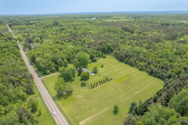 Lamson Rd, Lysander, NY 13135