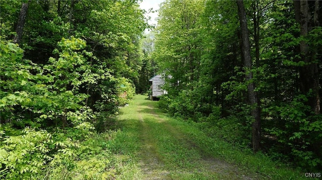 1507 Keeney Ln, Osceola, NY 13437 - view of yard featuring a wooded view
