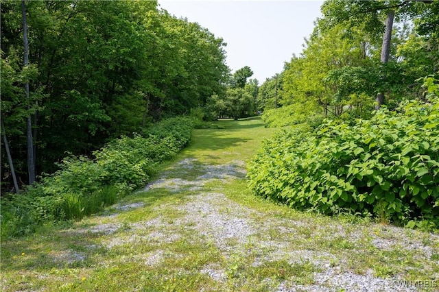 V/L Davis Rd, Aurora, NY 14170