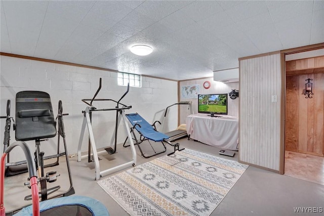 100 Brompton Rd, Amherst, NY 14221 - workout room with wooden walls and baseboards