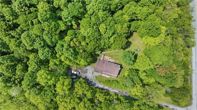 7425 State Route 20a, Bristol, NY 14469 - aerial view of property's location