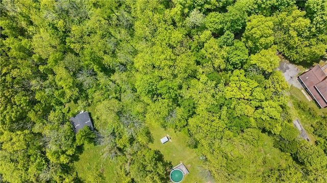 7425 State Route 20a, Bristol, NY 14469 - aerial view