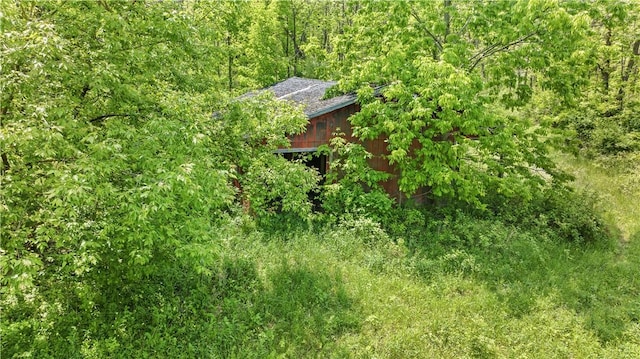 7425 State Route 20a, Bristol, NY 14469 - exterior view of a forest