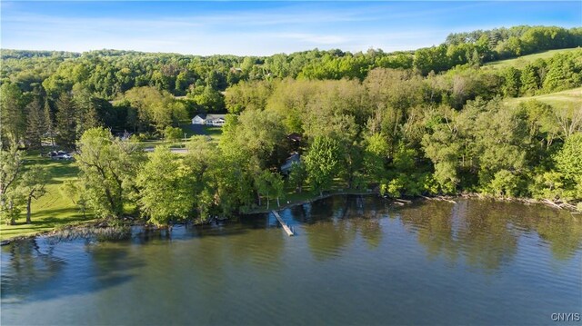 2509 Otisco Valley Rd, Otisco, NY 13110 - photo 23