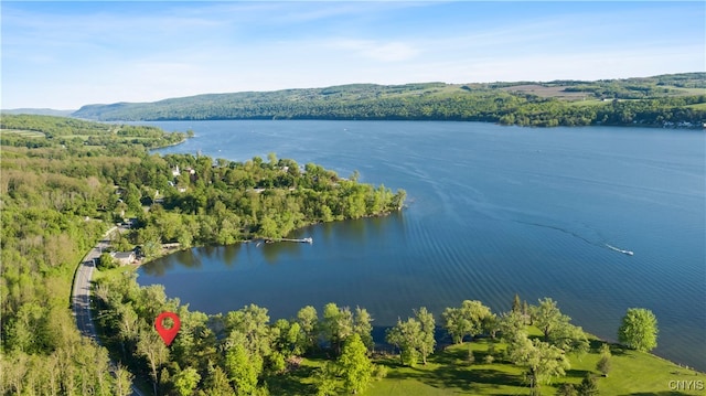 2509 Otisco Valley Rd, Otisco, NY 13110 - photo 26