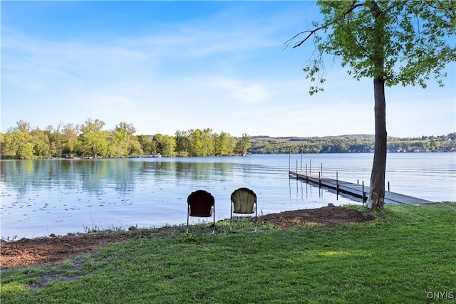 2509 Otisco Valley Rd, Otisco, NY 13110 - photo 6