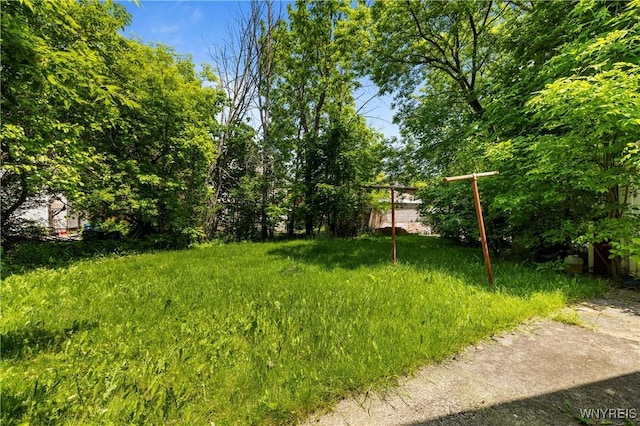 1934 Welch Ave, Niagara Falls, NY 14303 - view of yard