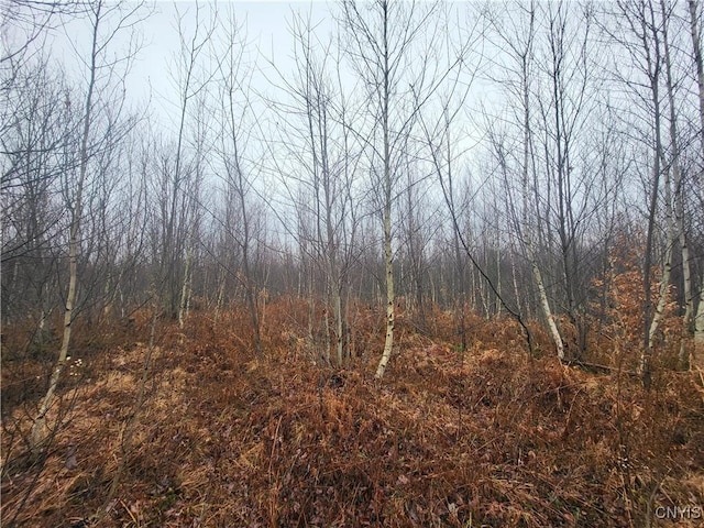 00 Ridge Rd, Fine, NY 13639